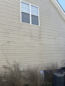 Dirty siding with mold and algae before soft washing in Matthews