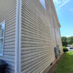 heavy mold and algae on Siding before Pressure washing